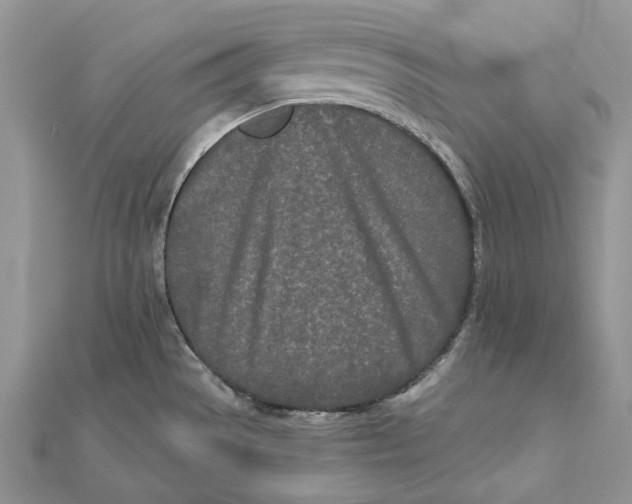 X0000112181529200908281350