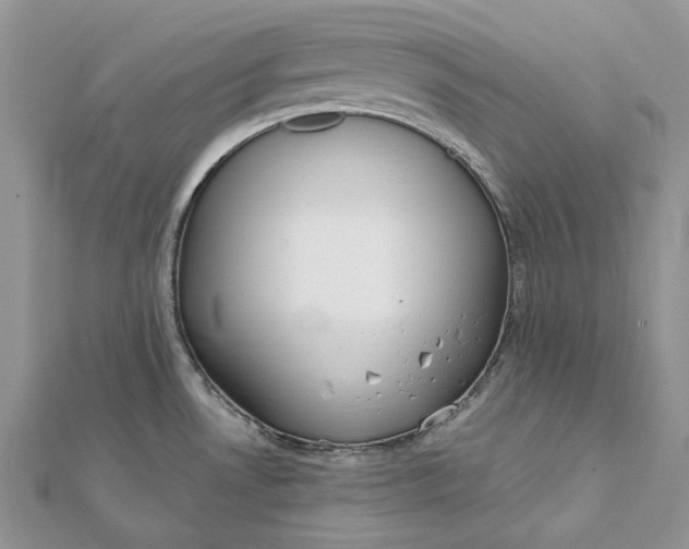 X0000112181530200908281350