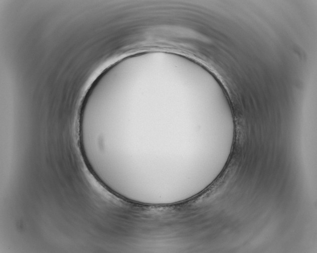 X0000112181531200908281350