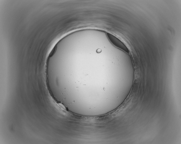 X0000112181532200908281350