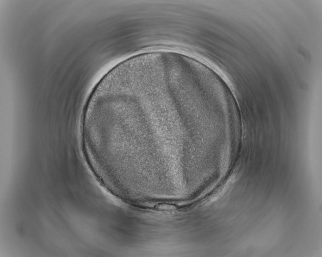 X0000112181533200908281350