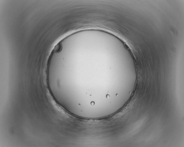 X0000112181534200908281350