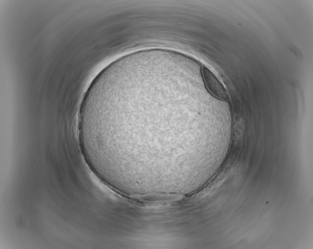 X0000112181535200908281350