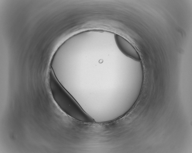 X0000112181536200908281350