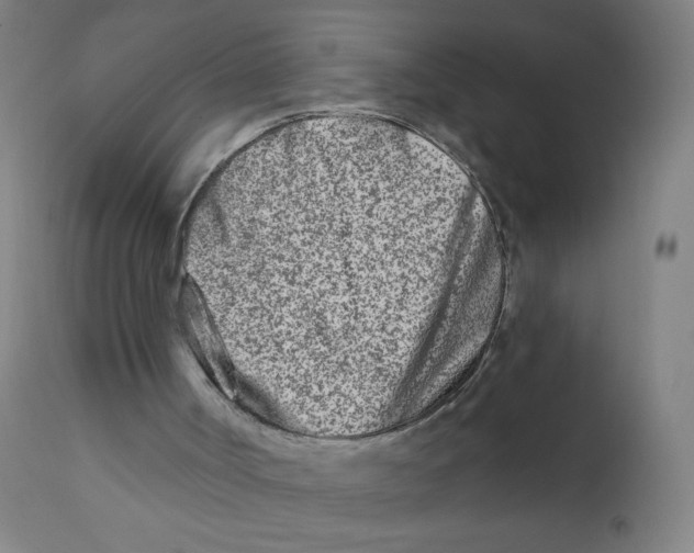 X0000112180002200909041241