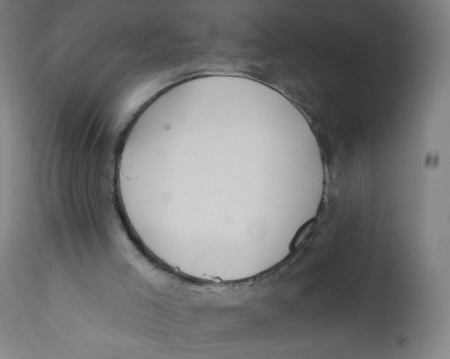 X0000112180005200909041241