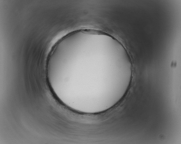 X0000112180008200909041241