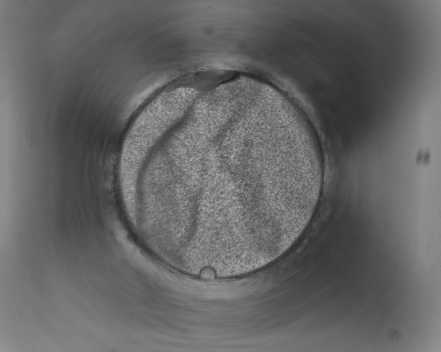 X0000112180010200909041241