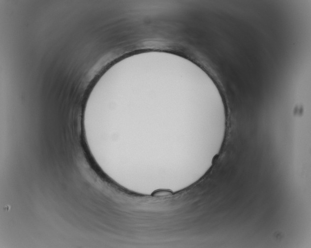 X0000112180011200909041241