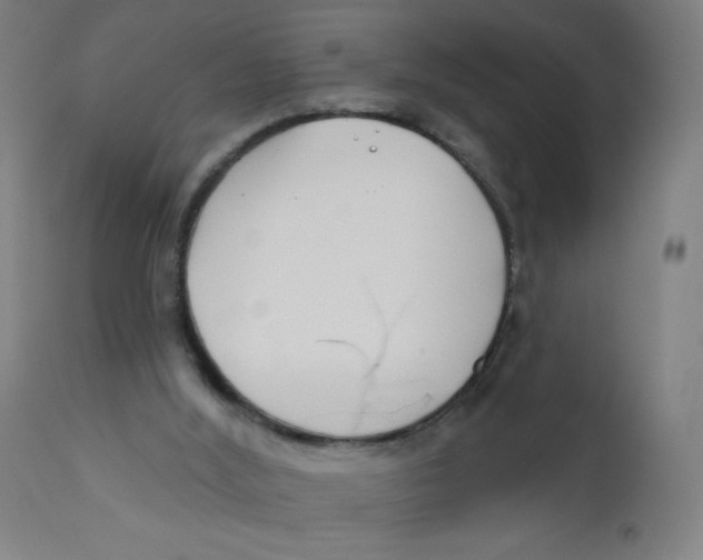 X0000112180012200909041241