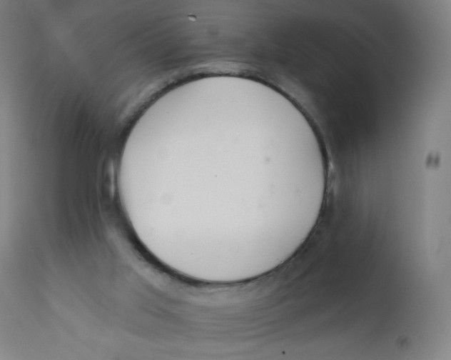 X0000112180013200909041241