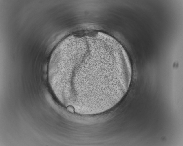 X0000112180014200909041241
