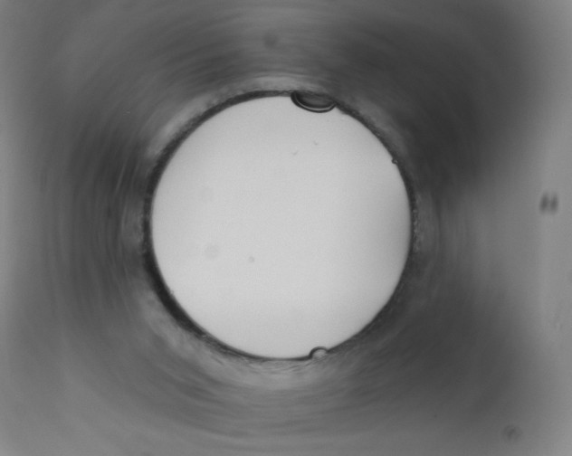 X0000112180015200909041241
