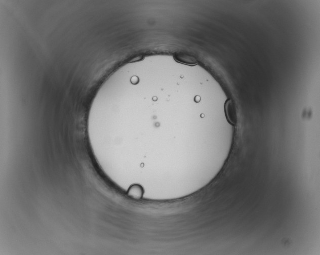X0000112180017200909041241