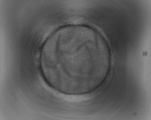 X0000112180018200909041241