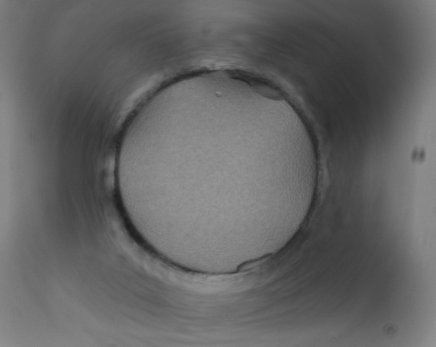 X0000112180019200909041241