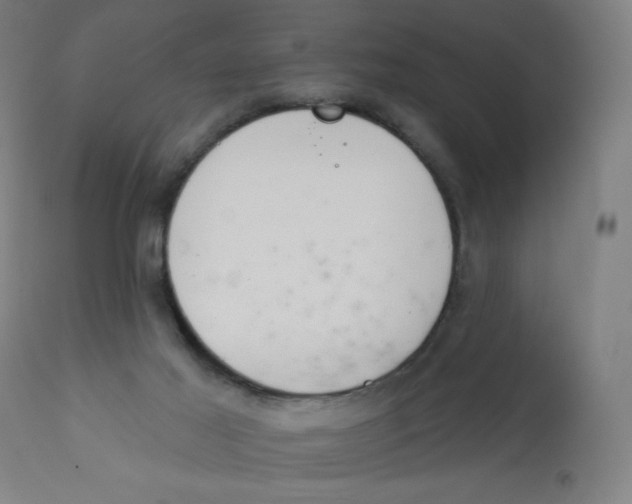 X0000112180021200909041241