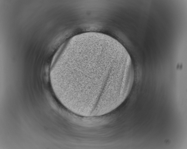 X0000112180022200909041241