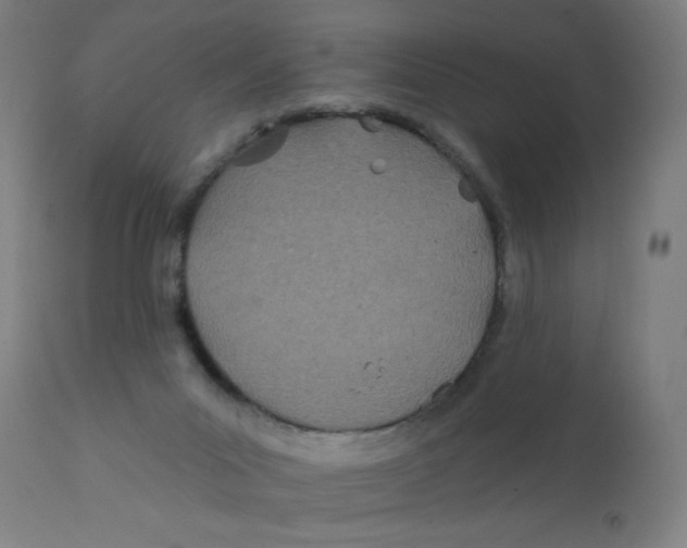 X0000112180023200909041241
