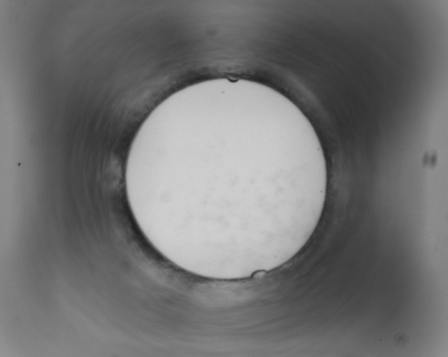 X0000112180025200909041240