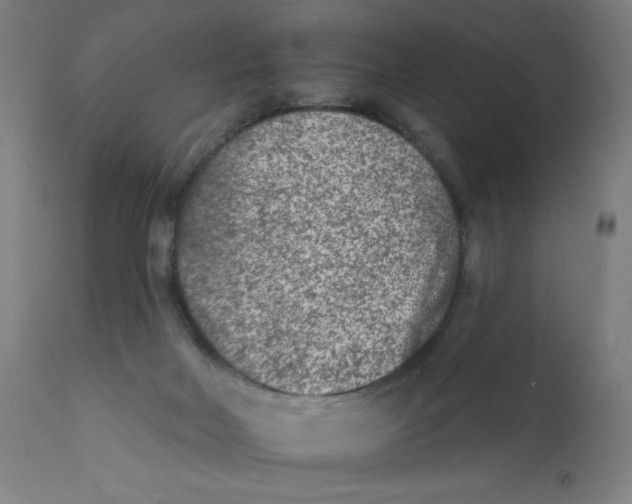 X0000112180026200909041240