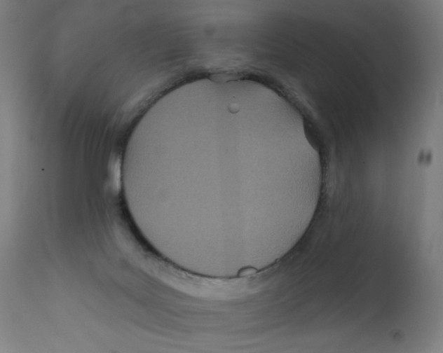 X0000112180027200909041240