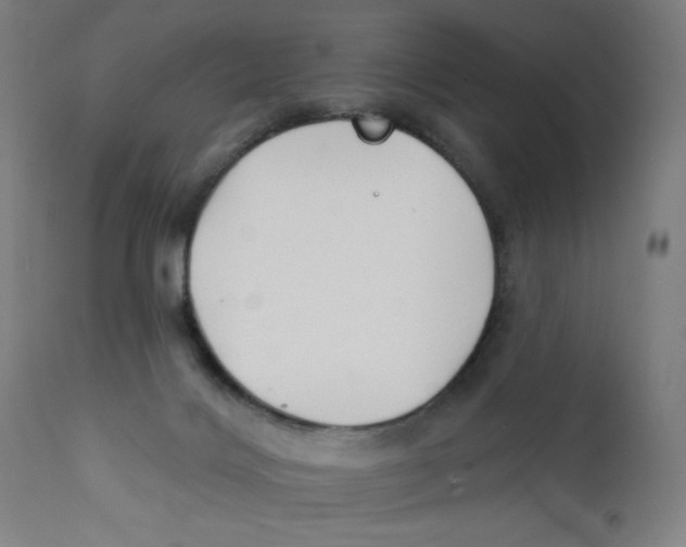 X0000112180028200909041240
