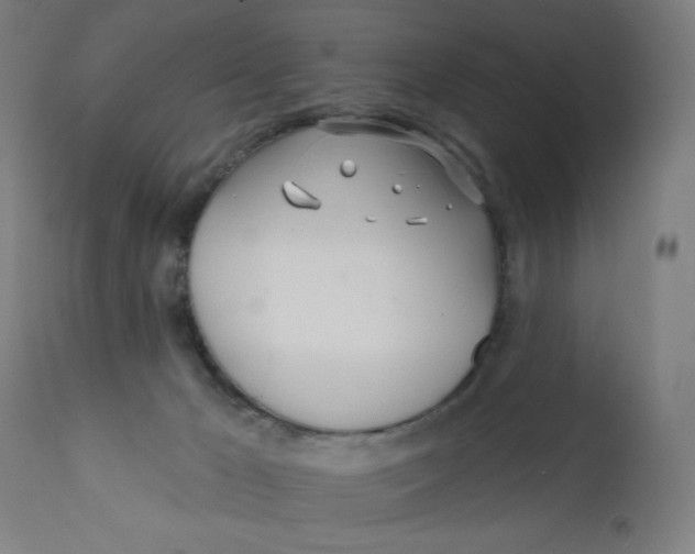 X0000112180029200909041240