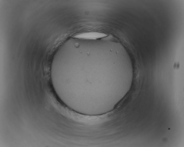 X0000112180031200909041240