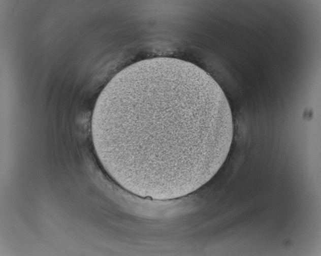 X0000112180034200909041240