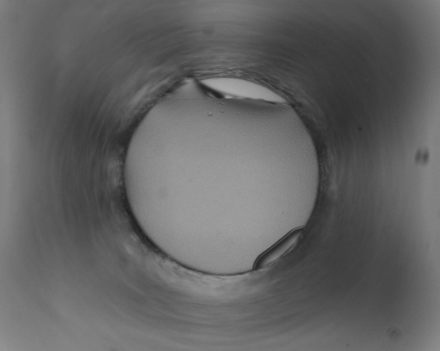 X0000112180035200909041240