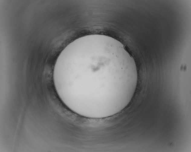 X0000112180037200909041240