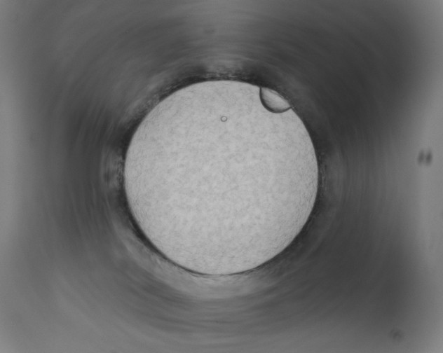 X0000112180038200909041240