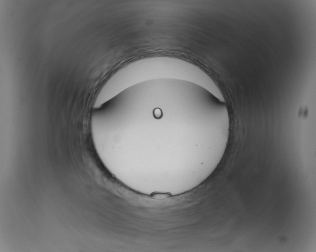 X0000112180039200909041240