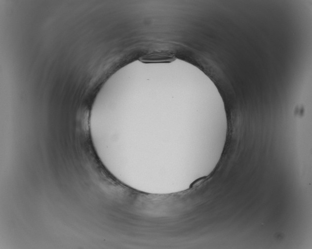 X0000112180041200909041240