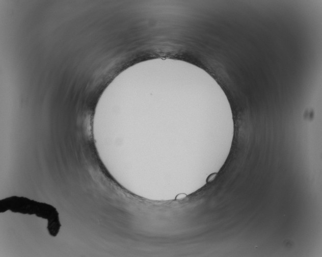 X0000112180042200909041240