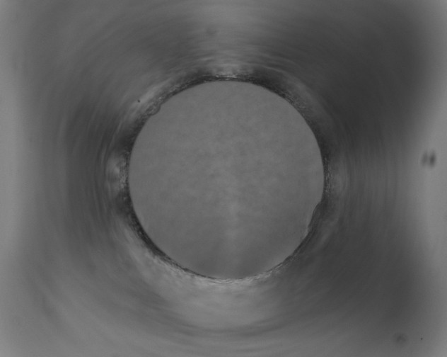 X0000112180043200909041240