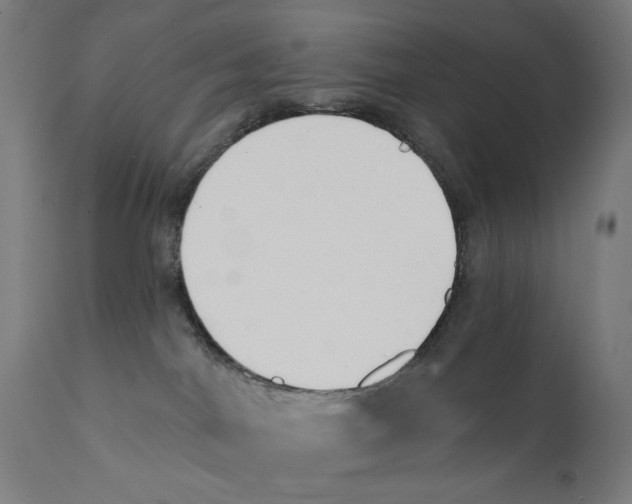 X0000112180044200909041240