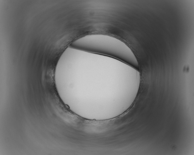 X0000112180045200909041240
