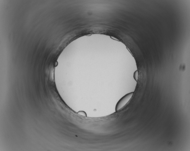 X0000112180046200909041240