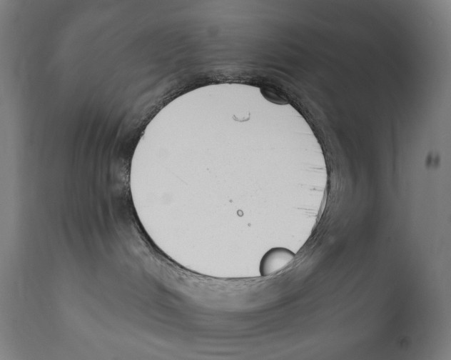 X0000112180048200909041240