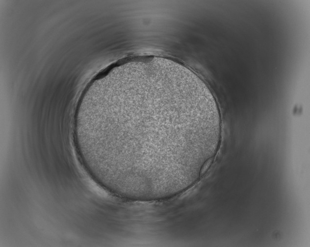 X0000112180049200909041239