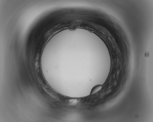 X0000112180050200909041239