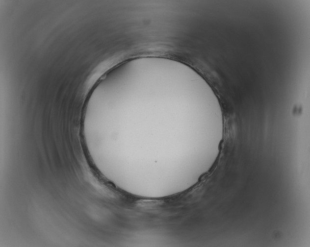 X0000112180051200909041239