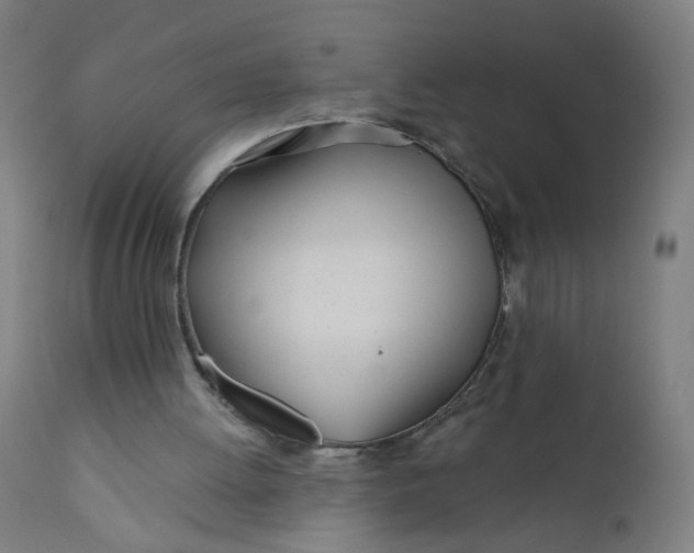 X0000112180052200909041239