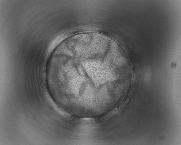 X0000112180053200909041239