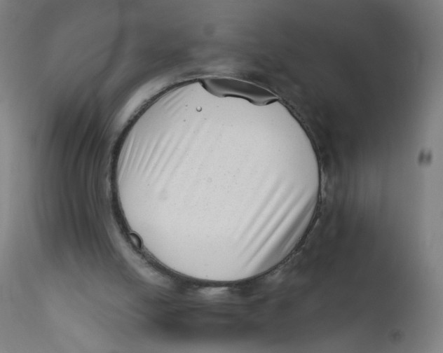 X0000112180054200909041239