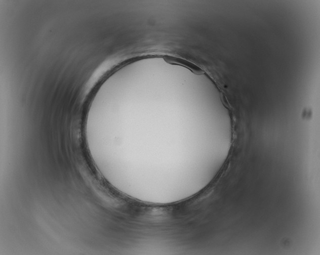X0000112180056200909041239