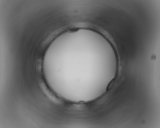 X0000112180057200909041239