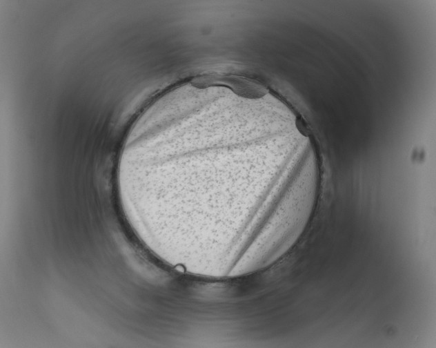 X0000112180058200909041239